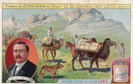 Tibet Thibet Sven Hedin Swedish Explorer Lailik 1899 Tarim Andidjan Kachgar Petrowsk Chameau Caravan Camel - Tíbet