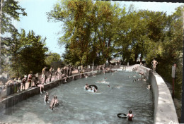 FIAC  - La Piscine - Autres & Non Classés