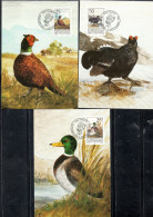 LIECHTENSTEIN 1990 GAME BIRDS COMPLETE SET SERIE COMPLETA MAXI MAXIMUM CARD CARTE - Cartoline Maximum