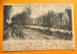 ANTWERPEN - Landschap Te  Sint Anna  - Paysage à  Sainte Anne  -  1905 - Antwerpen