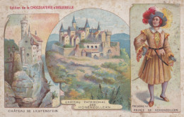 LIECHTENSTEIN  -  LITHOGRAPHIE  -  CHÂTEAU  ET  PRINCE  DE  HOHENZOLLERN - Liechtenstein