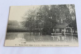 Boissy Saint Léger - Chateau Du Piple - L'étang Aux Canards - Boissy Saint Leger