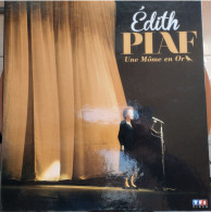 EDITH PIAF  Une Môme En Or   2 Cds +  2 Dvd    (CM4  ) - Altri - Francese
