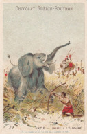 India Elephant Hunting Bow Tir à L' Arc  Pub Chocolat Guerin Boutron Ivory Ivoire - Indien