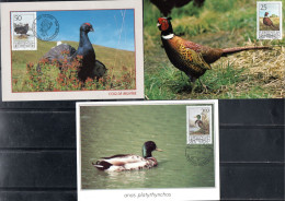 LIECHTENSTEIN 1990 GAME BIRDS COMPLETE SET SERIE COMPLETA MAXI MAXIMUM CARD CARTE - Cartes-Maximum (CM)