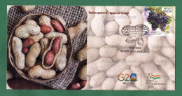 INDIA 2023 Inde Indien - GROUNDNUT Special Postmark Cancellation Cover Ahmedabad 13.10.2023 - Groundnuts, Peanuts, Food - Levensmiddelen