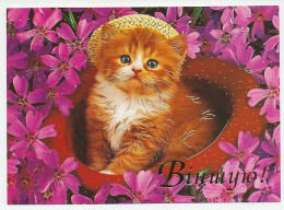 Postal Stationery Belarus 2003 Cat - Autres & Non Classés