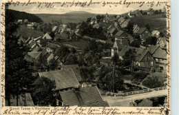 Tanne Im Hochharz - Sonstige & Ohne Zuordnung