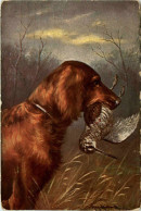 Jagd Hund - Hunting