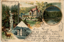 Gruss Aus Altenau - Hotel Waldgarten - Litho - Altenau