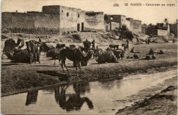 Gabes - Caravane Au Repos - Tunisia