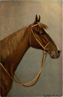 Pferd - Horse - Caballos