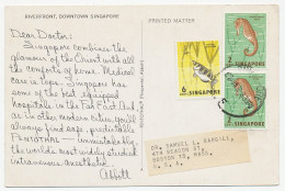 Postcard / Postmark Singapore 1962 Dear Doctor - Abbott - Sea Horse - Vie Marine
