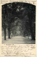 Arnstadt/Thür. - Linden-Allee - Arnstadt