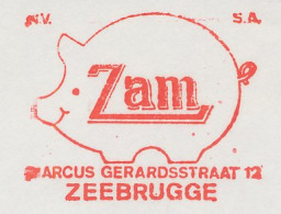 Meter Cut Belgium 1975 Pig - Farm