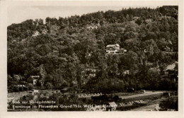 Arnstadt/Thür. - Blick Zur Waldgaststätte - Eremitage Im Plaueschen Grund - Arnstadt