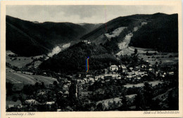 Leutenberg/Thür. - Blick Von Der Wandslebhütte - Leutenberg