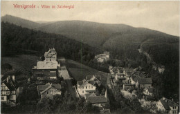 Wernigerode, Villen Im Salzbergtal - Wernigerode