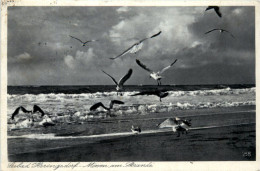 Seebad Heringsdorf, Möwen Am Strand - Sonstige & Ohne Zuordnung