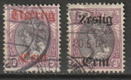 1919 Hulpuitgiften Wilhelmina.  NVPH 102-103  Cancelled/gestempeld - Used Stamps