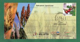 INDIA 2023 Inde Indien - INTERNATIONAL YEAR OF MILLET - Special Postmark Cancellation Cover Ahmedabad 12.10.2023 - Food - Sonstige & Ohne Zuordnung