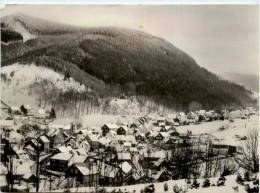 Oberschönau Thür. Wald, Teilansicht U. Hohe Möst - Schmalkalden