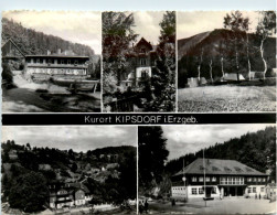 Kurort Kipsdorf I. Erzgeb., Div. Bilder - Altenberg