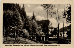 Schmiedeberg Erzgeb., Gaststätte Putzmühle - Dippoldiswalde