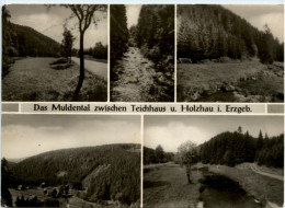 Das Muldental Zwischen Teichhaus U. Holzhau I. Erzgeb. - Other & Unclassified