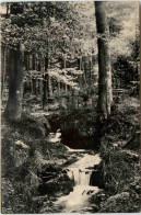 Olbernhau, Wasserfall Beim Fuchsstein Im Rungsrocktal - Olbernhau