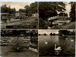 Gruss Aus Dem Wörlitzer Park, Div. Bilder - Wörlitz