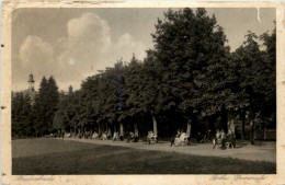 Bad Friedrichroda, Perthes-Promenade - Friedrichroda