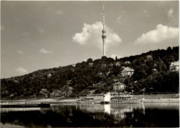 Dresden-Wachwitz, MS Wilhelm-Pieck Am Fernsehturm - Dresden