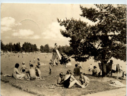 Schneeberg I. Erzgeb., Filzteich - Autres & Non Classés