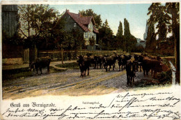 Gruss Aus Wernigerode, Salzbergthal - Wernigerode