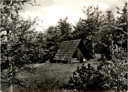 Zinnwald Im Erzgebirge, NSG Georgenfelder Hochmoor - Altenberg