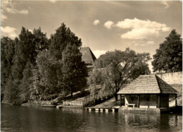 Grillenburg, Im Tharandter Wald, Bootsanlegestelle - Tharandt