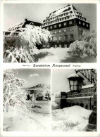 Altenberg, Sanatorium Raupennest, Div. Bilder - Altenberg