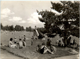 Schneeberg I. Erzgeb., Filzteich - Autres & Non Classés