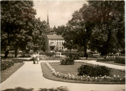 Bad Elster, Rosengarten - Bad Elster