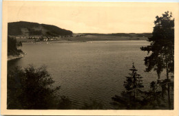 Am Stausee Der Bleiloch-Saaletalsperre, Kloster - Andere & Zonder Classificatie