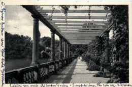 Bad Pyrmont, Palmengarten - Bad Pyrmont