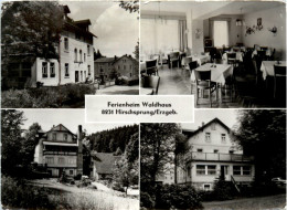 Hirschsprung/Erzgeb., Ferienheim Waldhaus - Altenberg