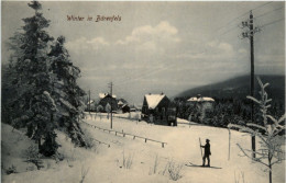 Winter In Bärenfels - Altenberg