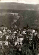 Kurort Masserberg, Blick Von Der Rennsteigwarte - Masserberg