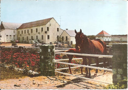 SARS-POTERIES (59) "HÔTEL-RESTAURANT DE L'AUBERGE FLEURIE" à 5 Km De La Nationale 2 (2 Scans)  CPSM  GF - Andere & Zonder Classificatie