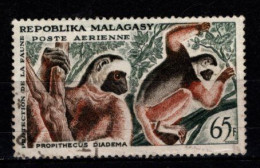 - MADAGASCAR - 1961 - YT N° PA 84  - Oblitéré  - Lémurien - Madagascar (1960-...)