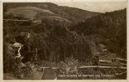 Ober-Kudowa Mit Weg Nach Dem Forsthaus - Schlesien