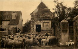 Ferme Bernaise - Andere & Zonder Classificatie