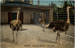 Basel - Zoologischer Garten - Strauss - Altri & Non Classificati
